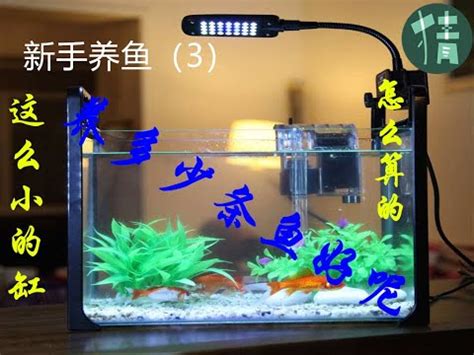 45公分魚缸可以養幾隻魚